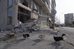 Число жертв землетрясения в Турции вновь возросло
