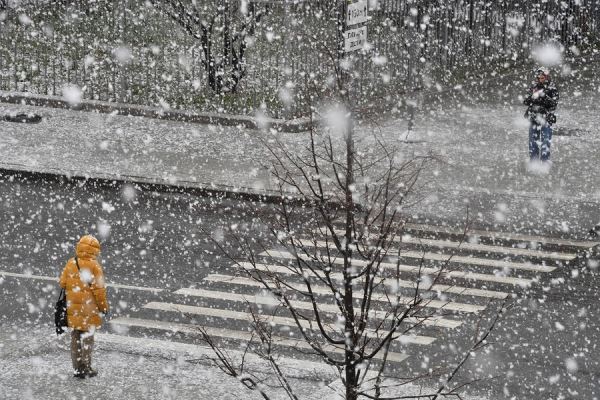 Мэр Владивостока Шестаков призвал перевести сотрудников на удаленку из-за снегопада 