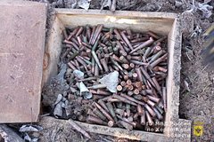 В Херсонской области полицейские нашли схрон с автоматами и гранатометами