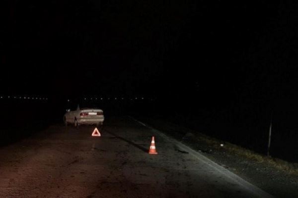В Новосибирской области водитель сбил двух пешеходов, не заметив их в темноте
